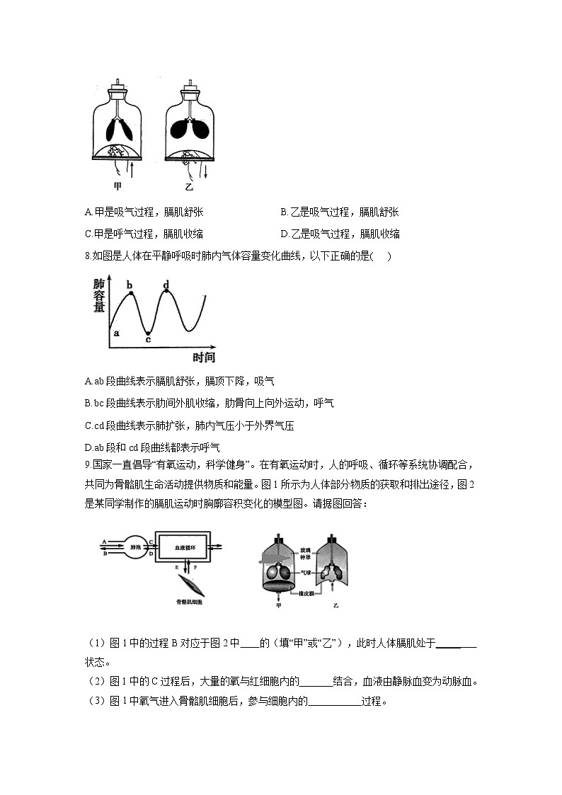 2021年中考生物一轮复习重点实验汇集：8.模拟呼吸运动中膈肌的变化 试卷03