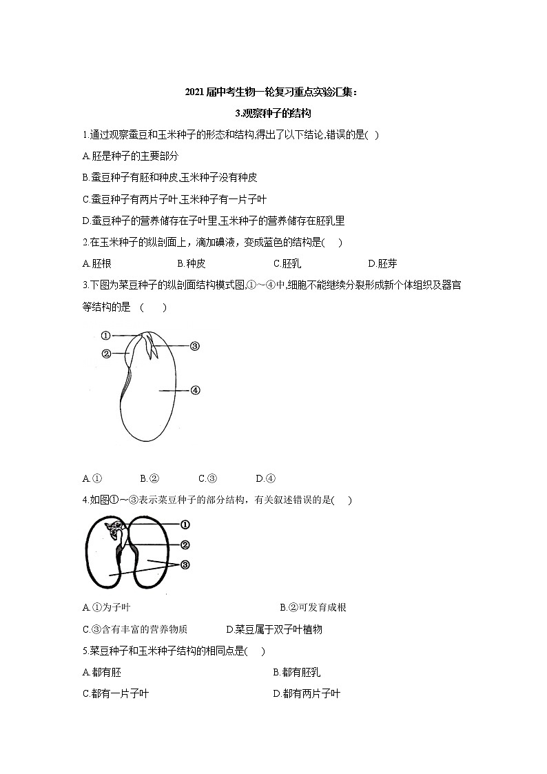 2021年中考生物一轮复习重点实验汇集：3.观察种子的结构 试卷01