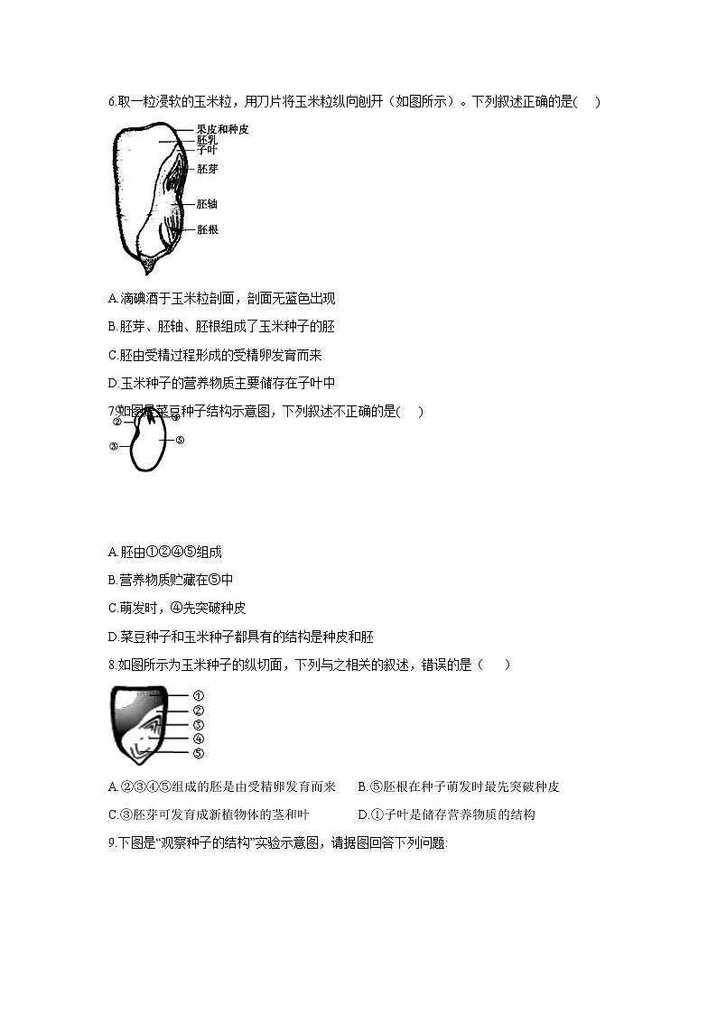 2021年中考生物一轮复习重点实验汇集：3.观察种子的结构 试卷02