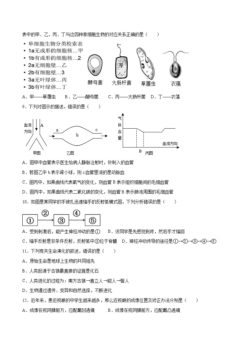 备战2021年中考生物【名校地市好题必刷】全真模拟卷（山东专用）（原卷板）第3页
