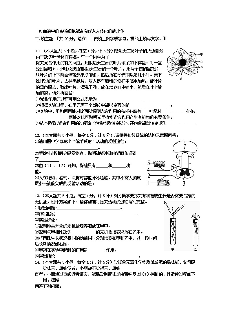 2021年江苏省丰县中考模拟生物试题（含答案解析）02