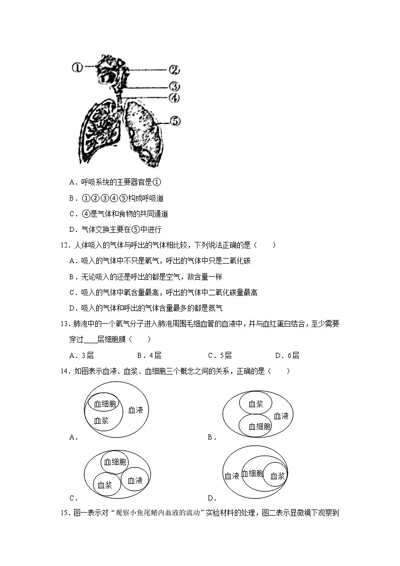 2020-2021学年河南省南阳市邓州市七年级（下）期中生物试卷   解析版03