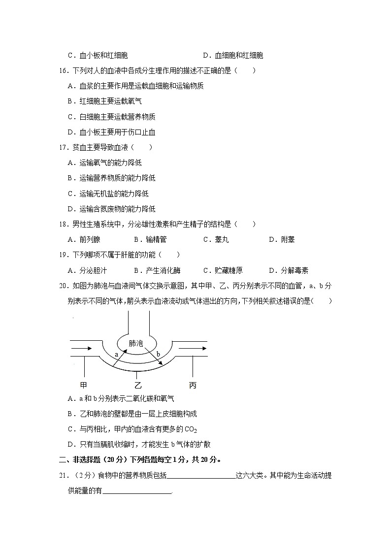 2020-2021学年湖北省荆门市钟祥市七年级（下）期中生物试卷    解析版03