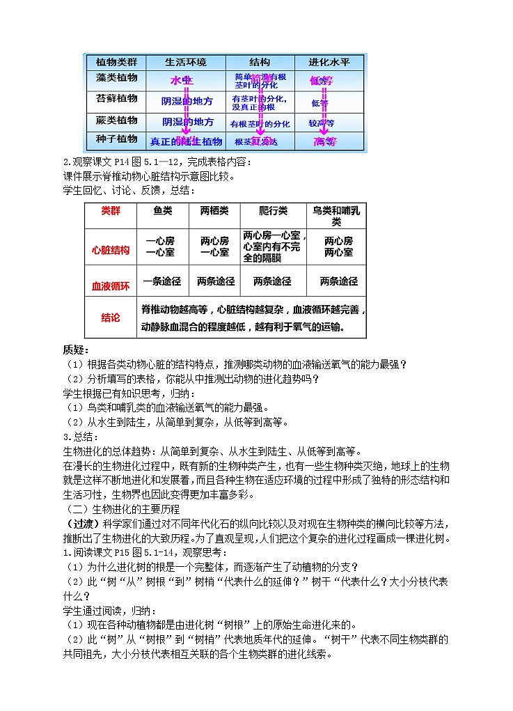 济南版生物八年级下册 5.1.3生物进化的历程教案02