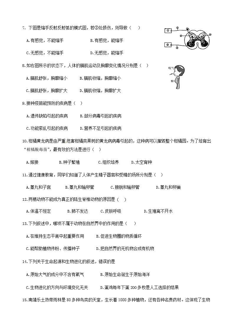 2021年山东省枣庄市峄城区中考生物模拟冲刺卷 1（word版 含答案）02