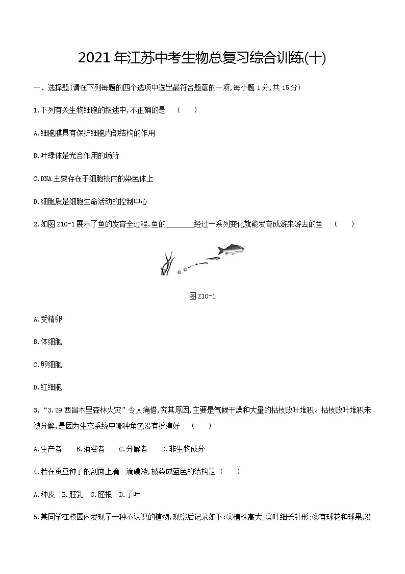 2021年江苏中考生物总复习综合训练（十 ）（word版 含答案）第1页