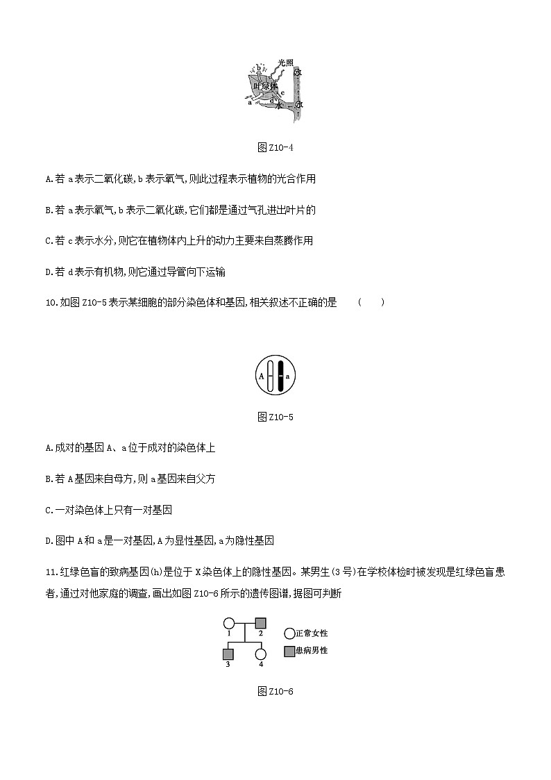 2021年江苏中考生物总复习综合训练（十 ）（word版 含答案）第3页