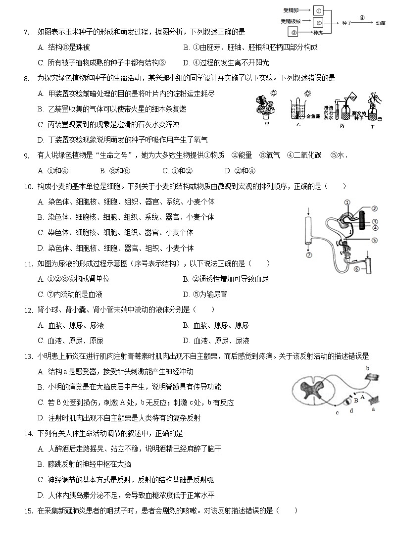 2021年海南省初中学业水平生物模拟测试（三）（word版 含答案）第2页
