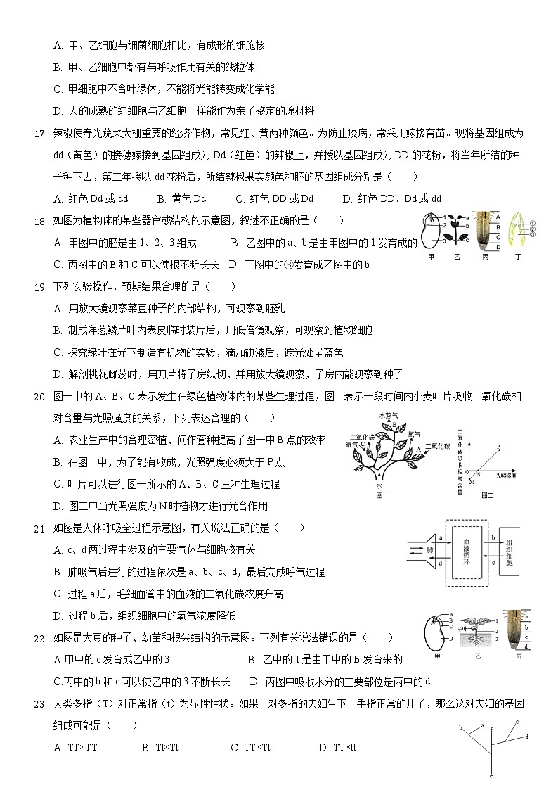 2021年海南省初中学业水平生物模拟测试（六）（word版 含答案）03
