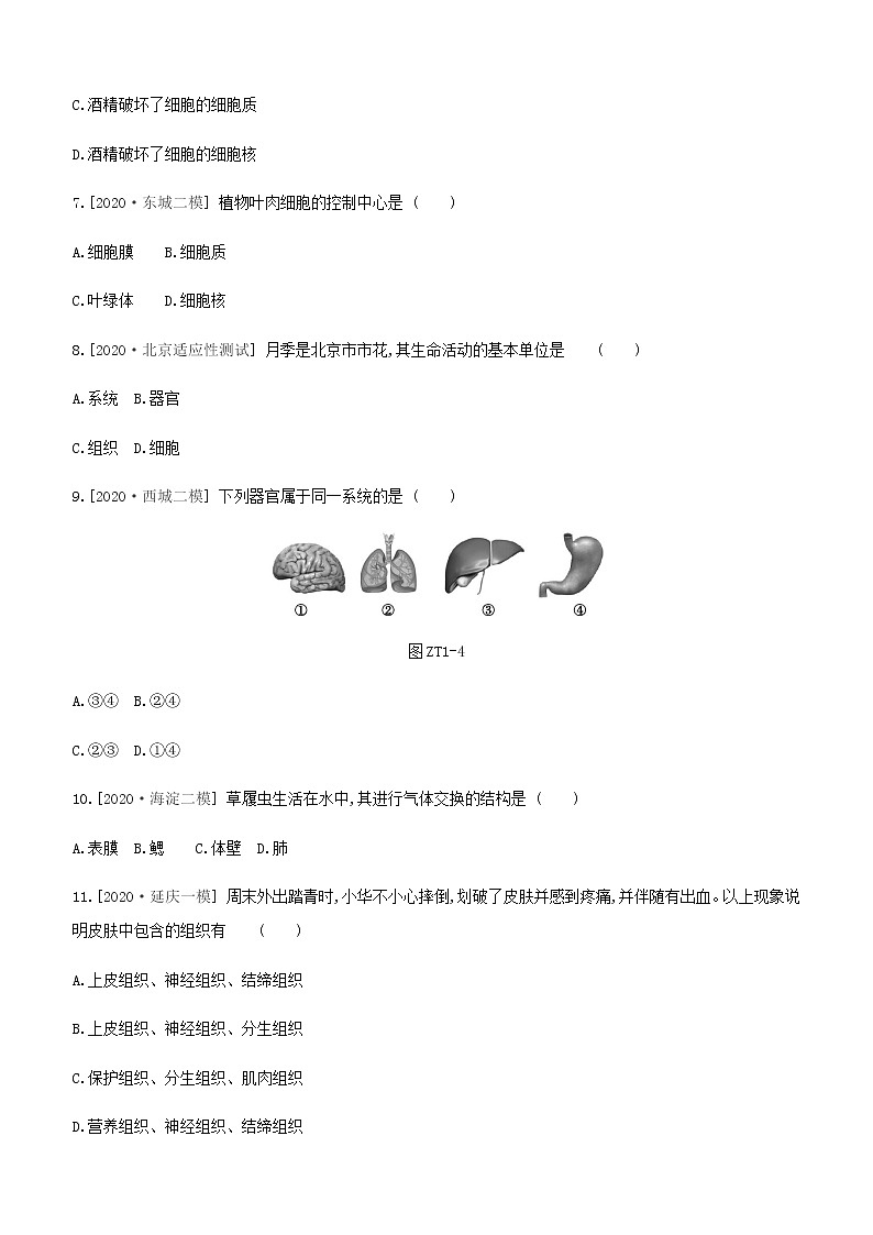 2021年北京市中考生物总复习主题训练一（word版 含答案）第3页