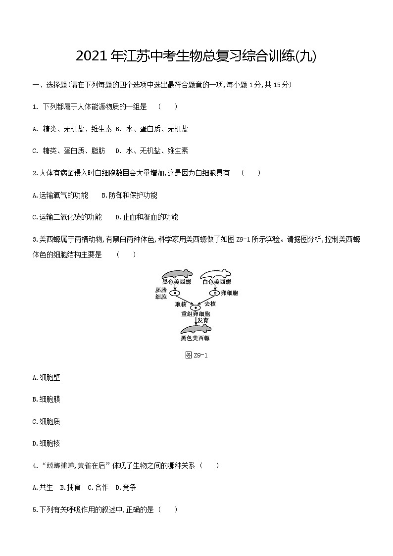 2021年江苏中考生物总复习综合训练(九) （word版 含答案）第1页