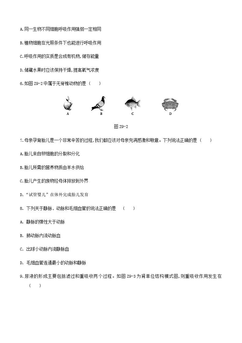 2021年江苏中考生物总复习综合训练(九) （word版 含答案）第2页