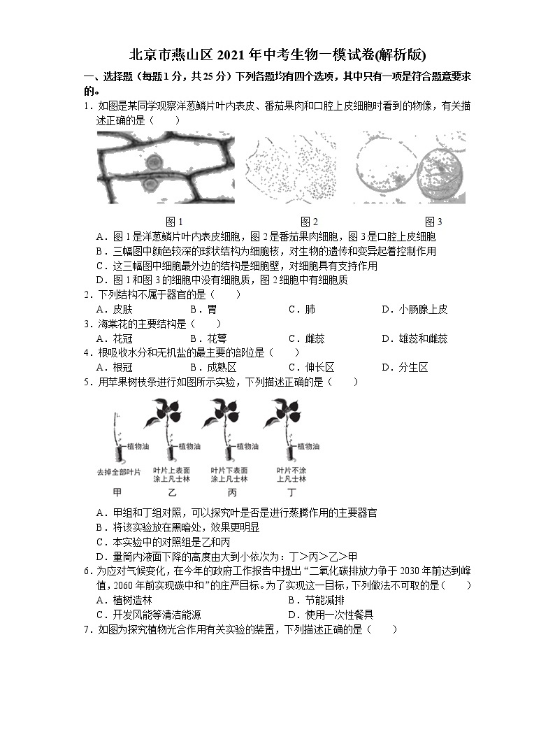 北京市燕山區2021年中考生物一模試卷(word版 含答案)