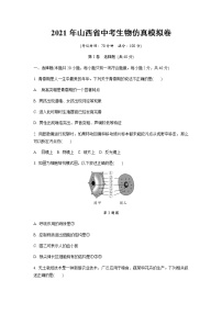 2021年山西省中考生物仿真模拟卷（word版 含答案）