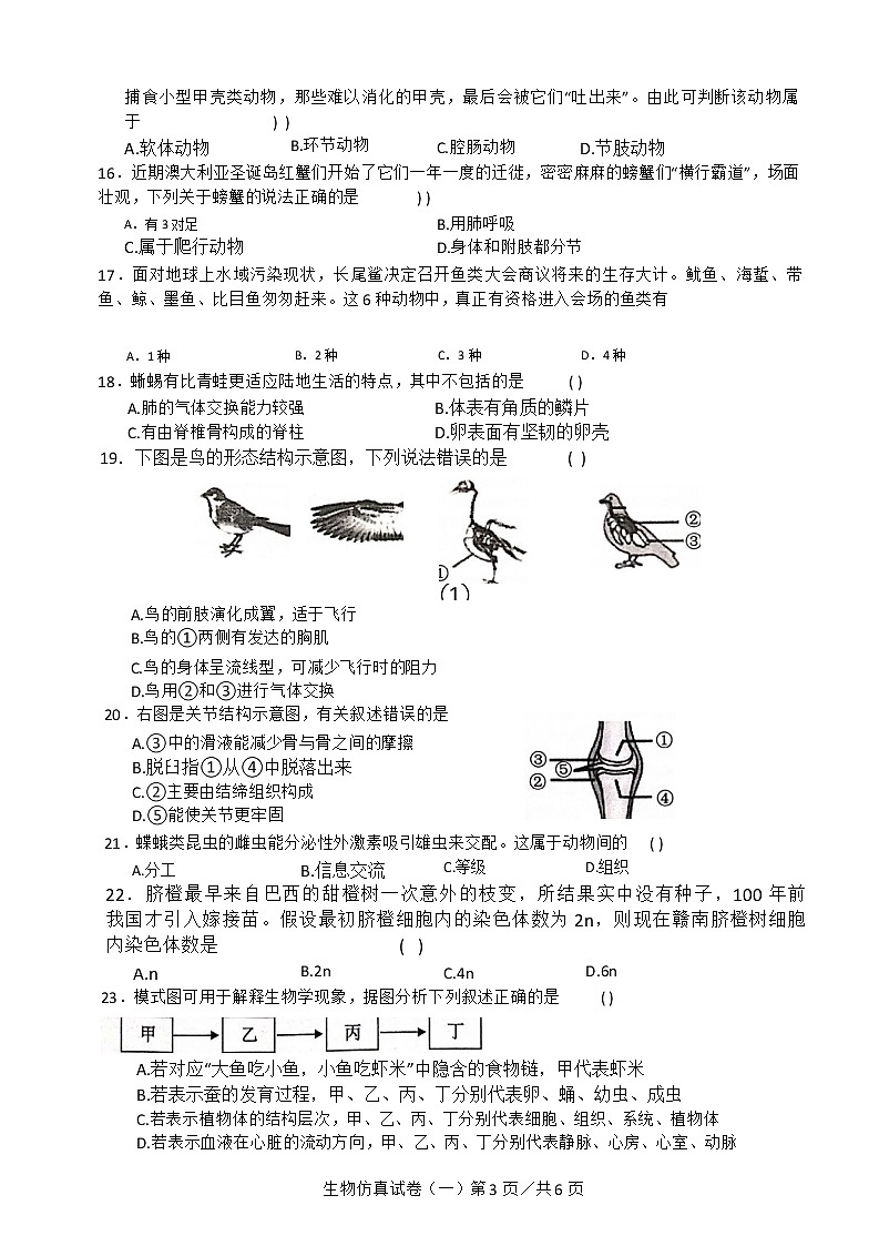 2021年广东省初中毕业生学业考试生物仿真试卷(一)03