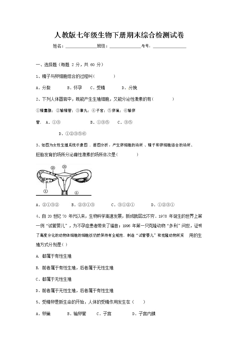 人教版七年级生物下册期末综合检测试卷试题及答案01