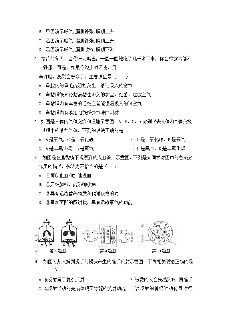 人教版七年级生物下册期末综合检测试题试卷及答案第2页
