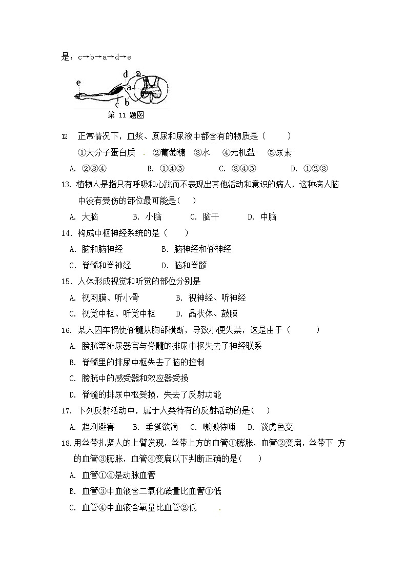 人教版七年级生物下册期末综合检测试题试卷及答案第3页