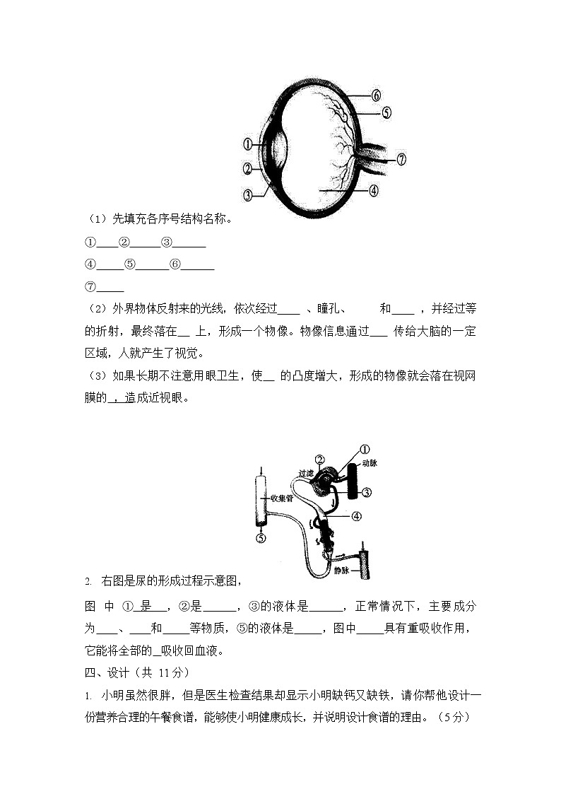 人教版七年级生物下册期末检测试卷测试题及答案03