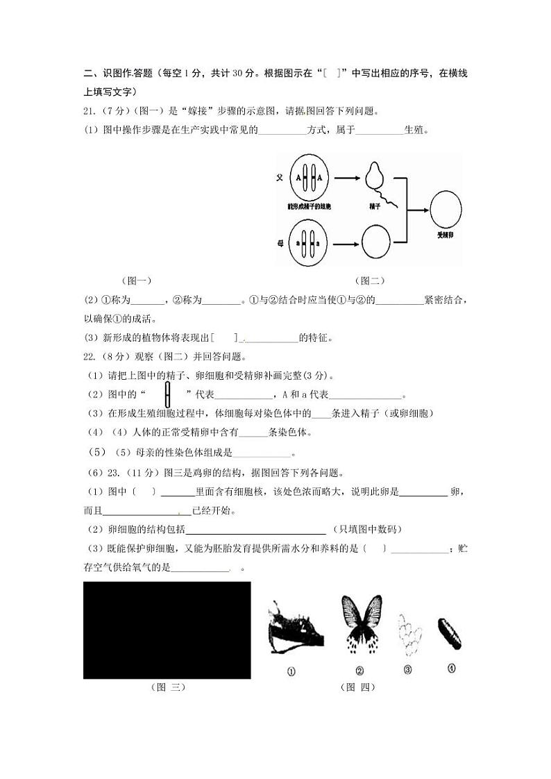 人教版八年级生物下册期末考试检测试题测试卷及答案03