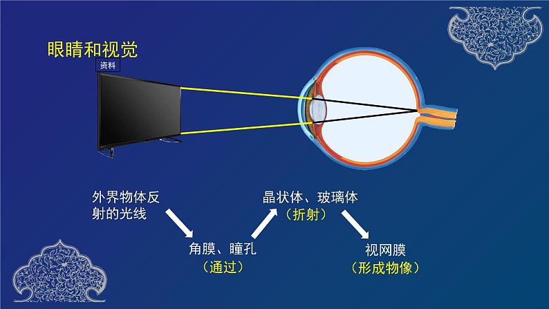 第六章 人体生命活动的调节专题复习第8页