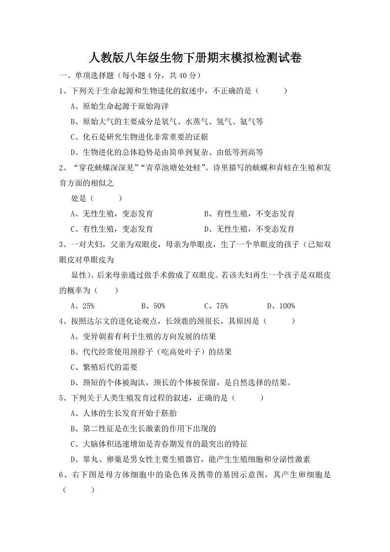 人教版八年级生物下册期末模拟检测试卷测试题及答案01