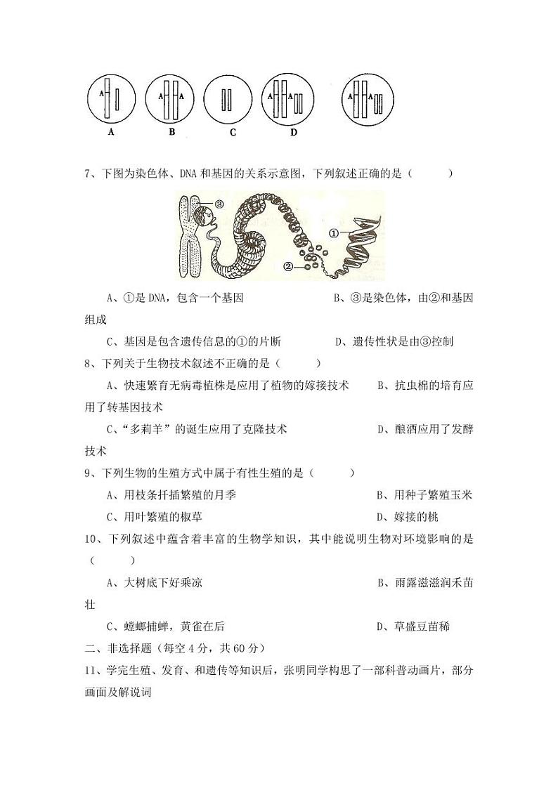 人教版八年级生物下册期末模拟检测试卷测试题及答案02