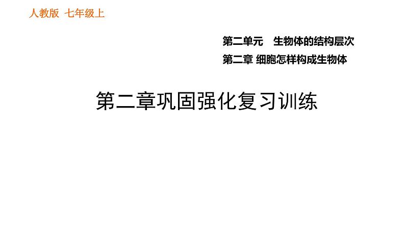 人教版七年级上册生物习题课件 第二单元 第二章巩固强化复习训练01