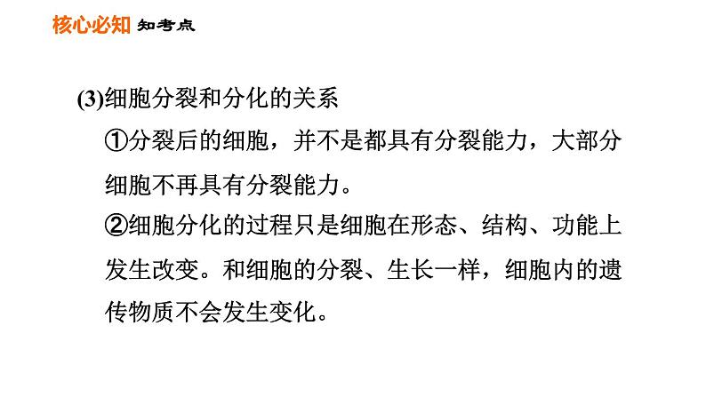 人教版七年级上册生物习题课件 第二单元 第二章巩固强化复习训练05