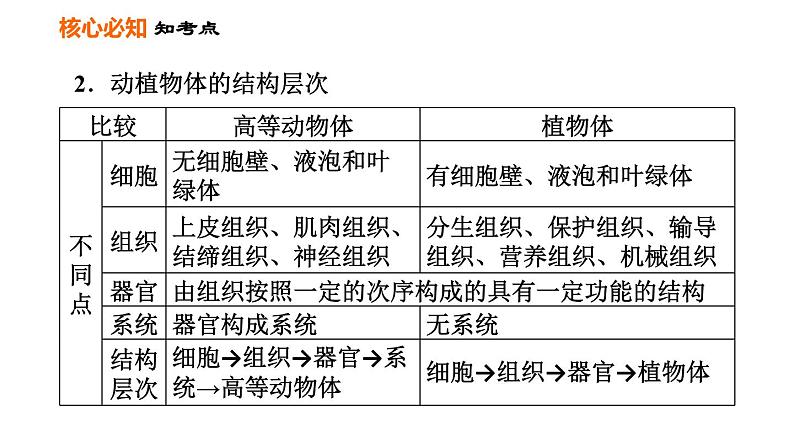 人教版七年级上册生物习题课件 第二单元 第二章巩固强化复习训练08