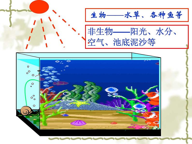 人教版七年级上册《生物与环境组成生态系统》课件02