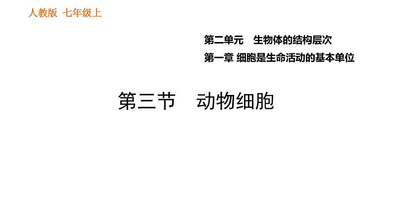 人教版七年级上册生物习题课件 第二单元 2.1.3 动物细胞01