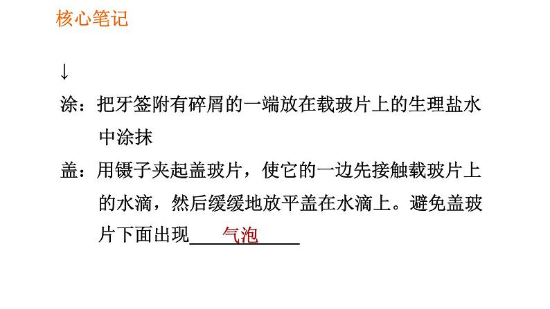 人教版七年级上册生物习题课件 第二单元 2.1.3 动物细胞03