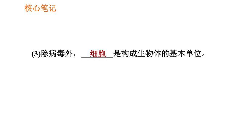 人教版七年级上册生物习题课件 第二单元 2.1.3 动物细胞08