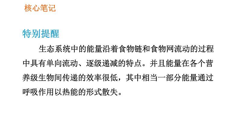 人教版七年级上册生物习题课件 第一单元 1.2.2.2 食物链和食物网04