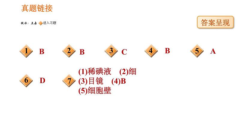 人教版七年级上册生物习题课件 第二单元 识图学生物（一）02