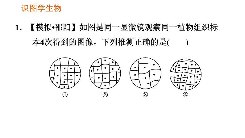 人教版七年级上册生物习题课件 第二单元 识图学生物（一）03