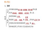 人教版七年级上册生物习题课件 第一单元 1.1.1 生物的特征