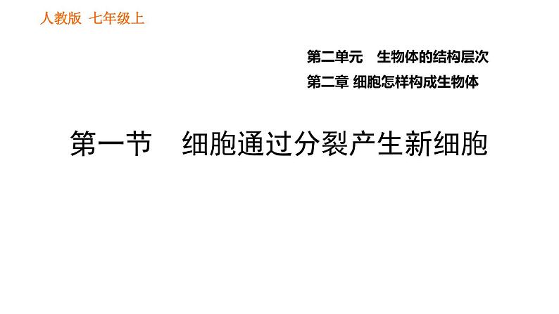 人教版七年级上册生物习题课件 第二单元 2.2.1 细胞通过分裂产生新细胞第1页