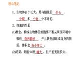 人教版七年级上册生物习题课件 第二单元 2.2.1 细胞通过分裂产生新细胞