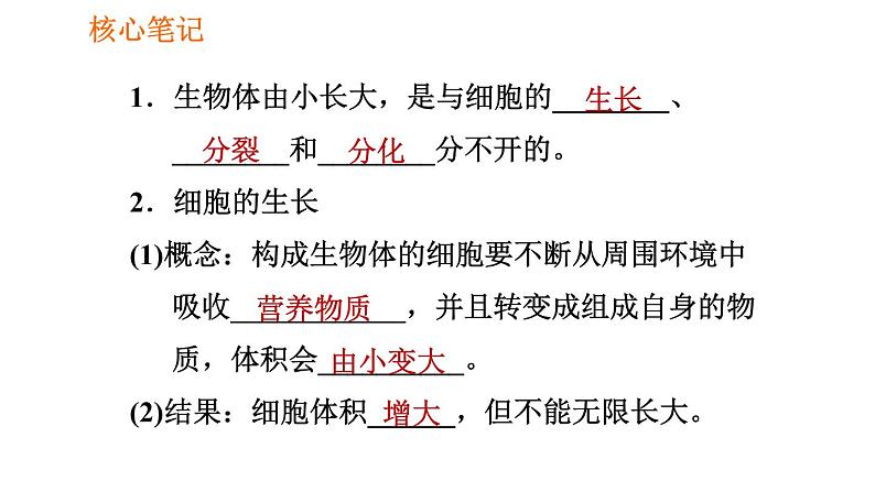 人教版七年级上册生物习题课件 第二单元 2.2.1 细胞通过分裂产生新细胞第2页