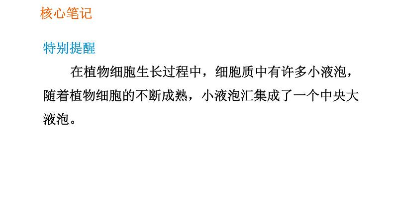 人教版七年级上册生物习题课件 第二单元 2.2.1 细胞通过分裂产生新细胞第3页