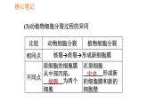 人教版七年级上册生物习题课件 第二单元 2.2.1 细胞通过分裂产生新细胞