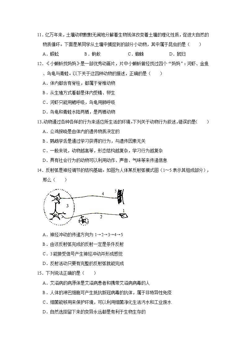 2021年山东省济南市莱芜区中考生物三模试卷   解析版03