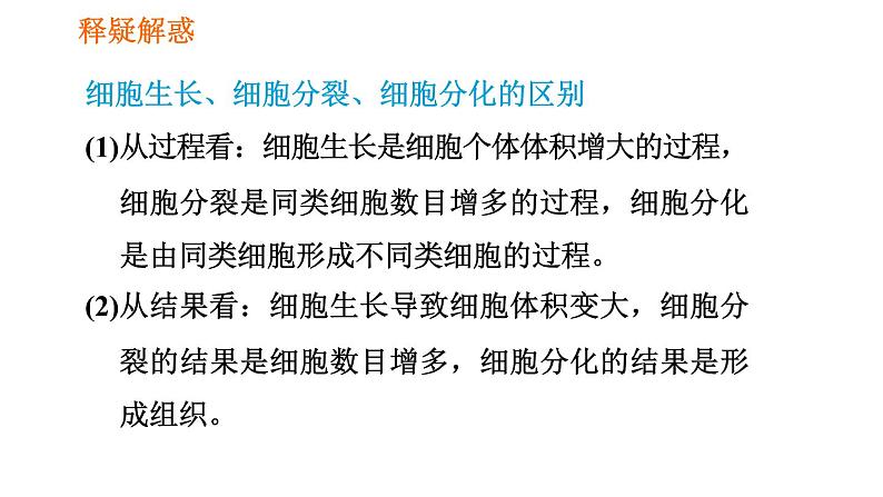 人教版七年级上册生物习题课件 第二单元 2.2.2 动物体的结构层次08