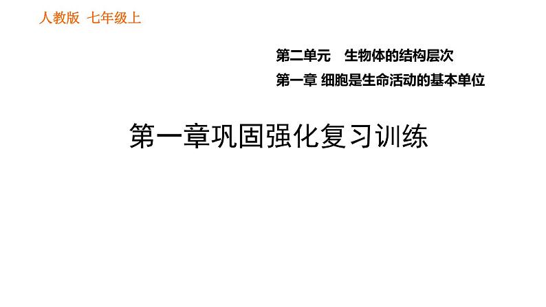 人教版七年级上册生物习题课件 第二单元 第一章巩固强化复习训练01