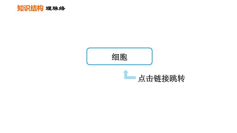 人教版七年级上册生物习题课件 第二单元 第一章巩固强化复习训练02