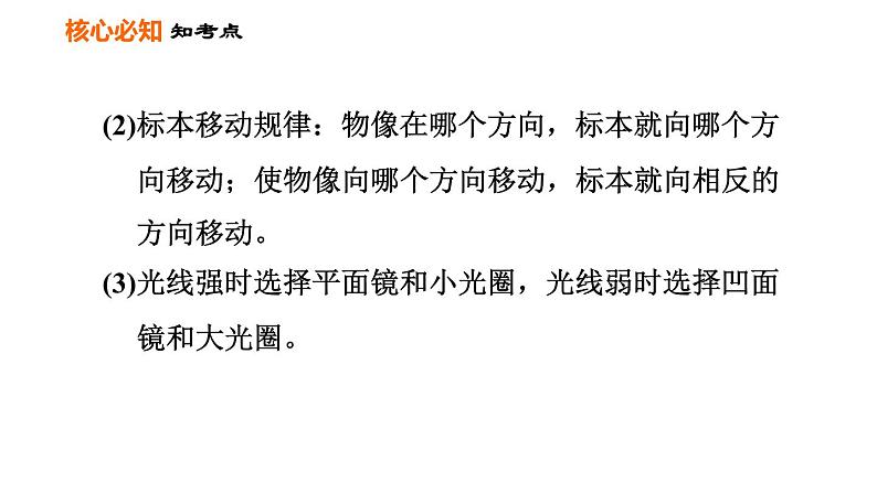 人教版七年级上册生物习题课件 第二单元 第一章巩固强化复习训练04