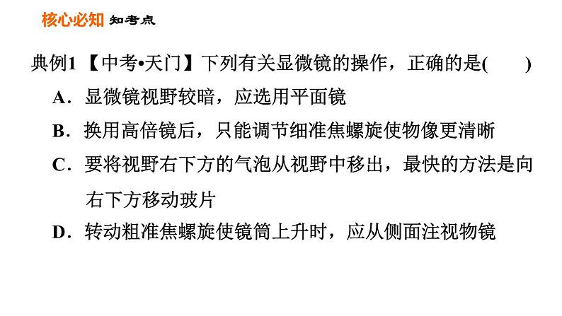 人教版七年级上册生物习题课件 第二单元 第一章巩固强化复习训练06