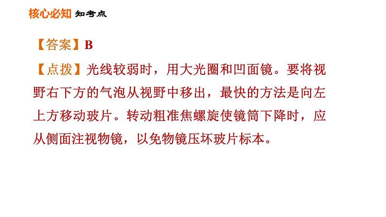 人教版七年级上册生物习题课件 第二单元 第一章巩固强化复习训练07